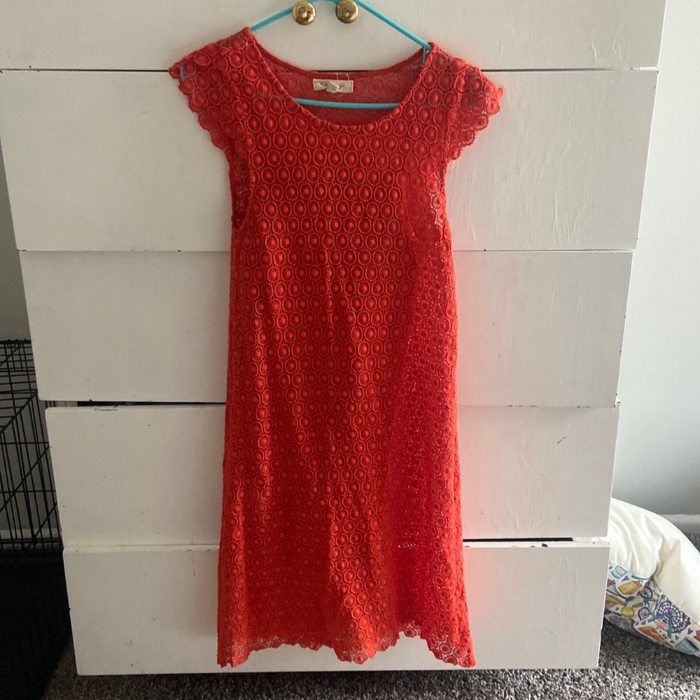 orange eyelet dress with orange slip under. from Black Swan
